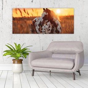 Tablou - Cal la Apus (120x50 cm)