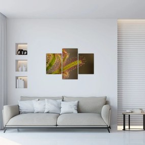 Tablou cu plantă (90x60 cm)