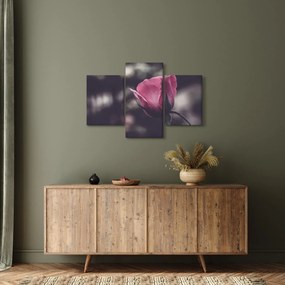 Tablou - Detaliu florii de trandafir (90x60 cm)