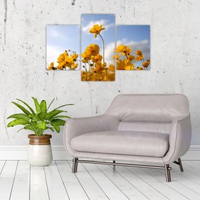 Tablou - Câmp cu flori galben deschis (90x60 cm)