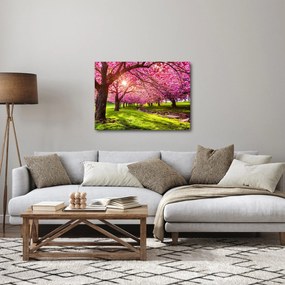 Tablou - Cireși înfloriți, Hurd Park, Dover, New Jersey (70x50 cm)