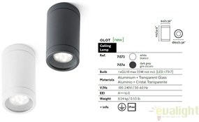PLAFONIERA DE EXTERIOR MODERNA OLOT NEAGRA 71374