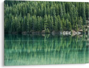 Tablou - Coniferi lângă lac (70x50 cm)