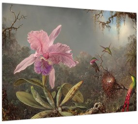 Tablou pe sticlă - Martin Johnson Heade, Cattleya Orchid and Three Hummingbirds, reproducere (70x50 cm)