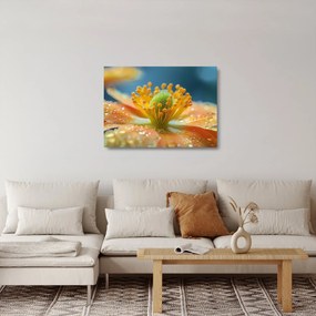Tablou pe sticlă - Detaliu de floare (70x50 cm)