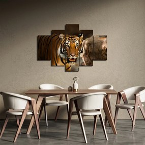 Tablou cu tigrul (150x105 cm)