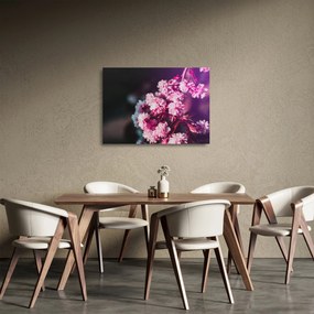 Tablou pe sticlă cu florile copacilor (70x50 cm)