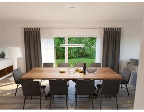 Lustră LED pe cablu CIRCLE LED/42W/230V LED2