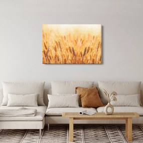 Tablou - câmp cu grâne (90x60 cm)