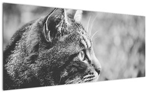 Tablou - Pisica (120x50 cm)