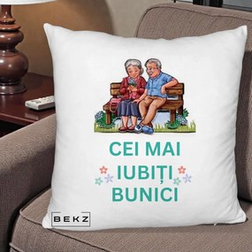 Cadou pentru Bunici - Perna Personalizata Cei Mai Iubiti Bunici Cuplu pe Banca Ilustratie, 40x40 cm, Alb Pufos, Husa Detasabila, Perna Inclusa, BEKZ®