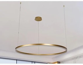 Lustră LED dimabilă pe cablu LED/55W/230V 3000-6500K + telecomandă