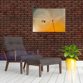 Tablou - Flori macro (70x50 cm)