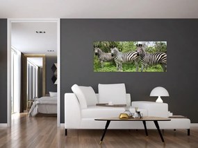 Tablou cu zebre (120x50 cm)