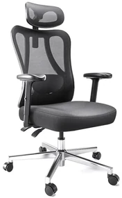 HBADA P3 Scaun ergonomic, cu suport lombar reglabil, tetieră reglabilă 2D, cotiere reglabile 2D, pivotant, Negru