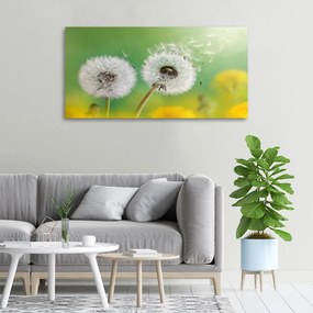 Tablou pe pânză canvas Păpădia