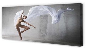 Tablouri canvas Femeie dans material alb