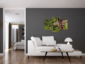 Tablou cu girafă din spate (90x60 cm)