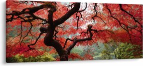 Tablou - Arțarul japonez roșu, Portland, Oregon (120x50 cm)