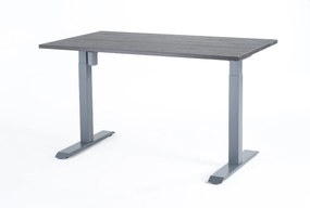 Viva New Generation 2.0, Birou reglabil electric, un singur motor - Premium - 1400x800x25 - Logan - Gri
