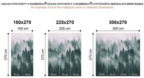 Fototapet apus de soare fascinant