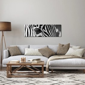 Tablou cu zebră (cu ceas) (90x30 cm)
