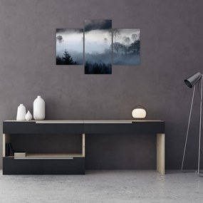 Tablou cu ceță deasupra pădurii (90x60 cm)