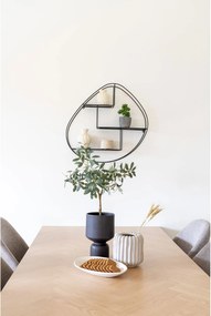 Măslin Oslavia 1 (verde). Promo -10%. 1147264