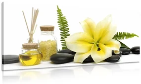 Tablou crinul și wellness natura moartă