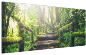Tablou - trepte din lemn în pădure (120x50 cm)