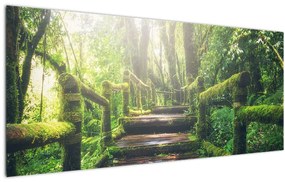 Tablou - trepte din lemn în pădure (120x50 cm), în 40 de alte dimensiuni noi