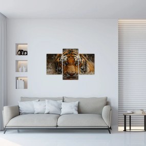 Tablou - Portret de tigru în apă (90x60 cm)