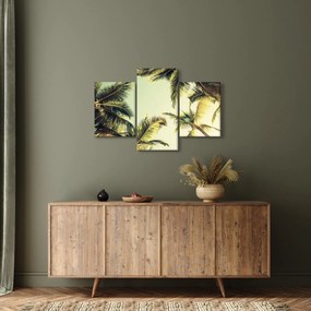 Tablou - Palmieri de cocos (90x60 cm)
