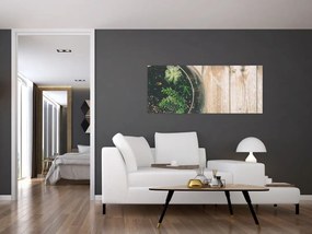 Tablou - Terariu de sticlă (120x50 cm)