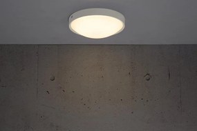 Plafoniera LED design circular Altus 2700 alba 47206001 NL