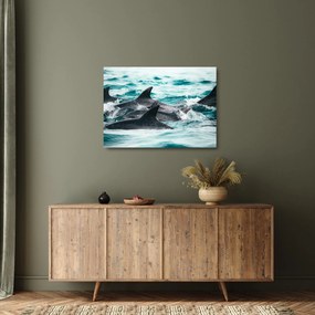Tablou pe sticlă - Delfini în ocean (70x50 cm)