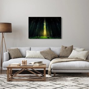 Tablou cu pădurea întunecată (90x60 cm)