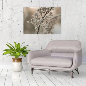 Tablou pe sticlă - Plantează în îngheț (70x50 cm)