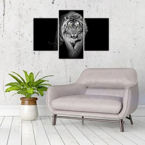 Tablou - Tigru cu ochi galbeni (90x60 cm)