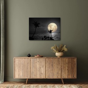 Tablou - Plaja cu lună plină, nuanțe gri (70x50 cm)