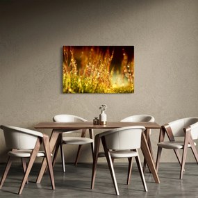 Tablou - Detaliu rouă (90x60 cm)