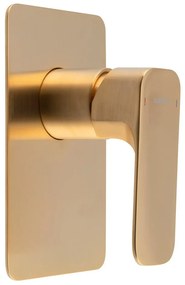 Baterie aurie pentru duș încastrată (1 ieșire) Spy – Sapho