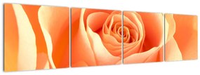 Tablou - trandafiri portocalii (160x40cm)