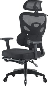 Scaun ergonomic, Suport Lombar 3 Zone Dinamice, Spătar ajustabil pe inaltime, cotiere 3D, tetiera 3D, suport pentru picioare, umeras, pivotant, Mesh, Negru