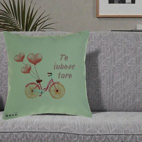 Perna Decorativa Te Iubesc Tare cu Bicicleta Roz si Baloane Inima, 40x40 cm, Verde, Husa Detasabila, Perna Inclusa, BEKZ®