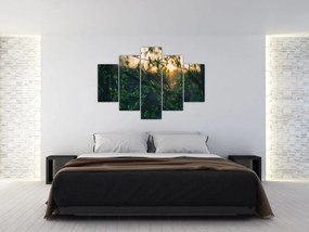 Tablou - Soarele strălucind printre crengile copacilor (150x105 cm)