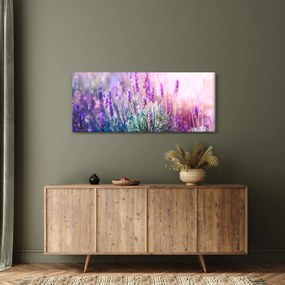 Tablou - Lavandă în strălucirea soarelui (120x50 cm)
