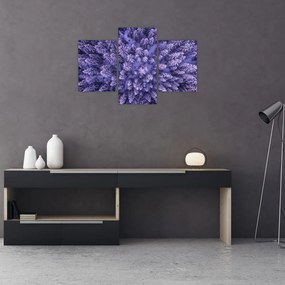 Tablou cu copacii înzăpeziți (90x60 cm)