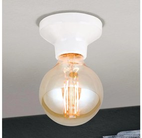 Orion - Plafonieră FROST 1xE27/60W/230V albă