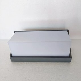 Aplica LED luminat exterior design modern IP54 LED-W-LUXON ANT FE